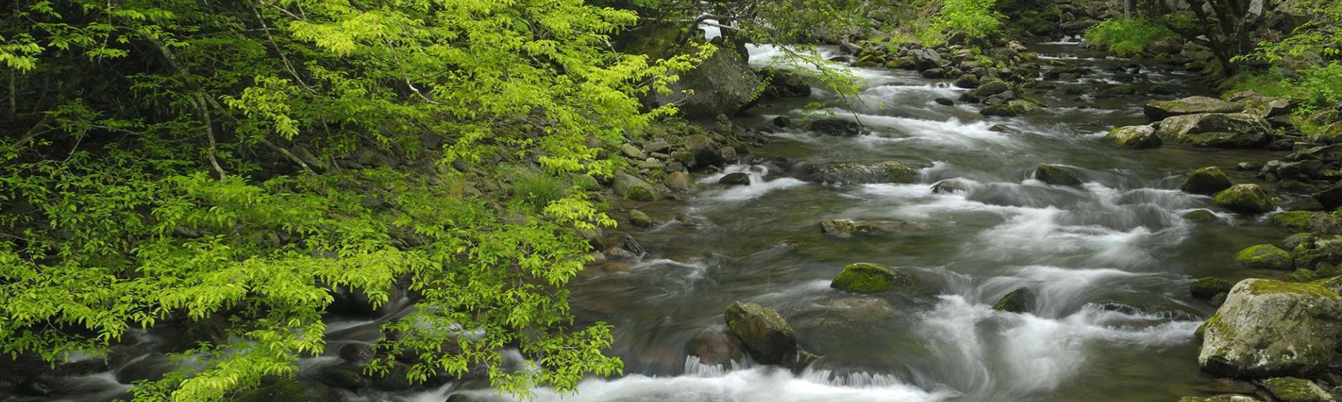 Natur Fluss