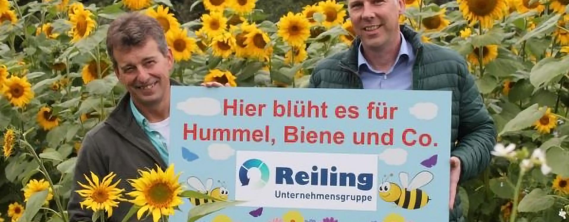 Zwei Männer mit einem Schild im Sonnenblumenfeld.