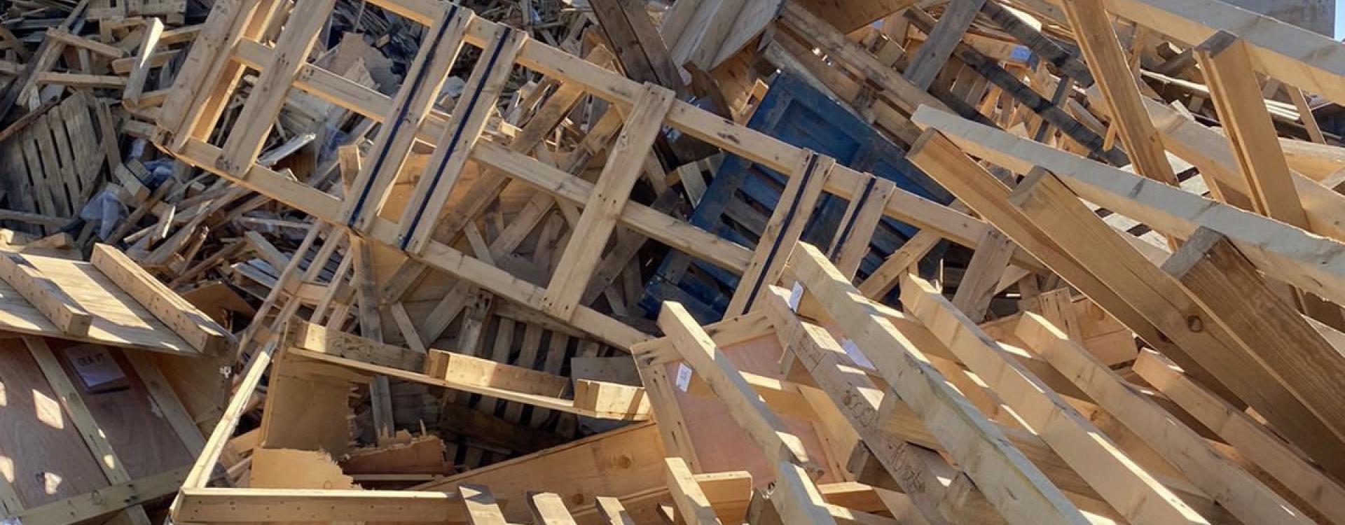 Sammlung & Entsorgung von Holz